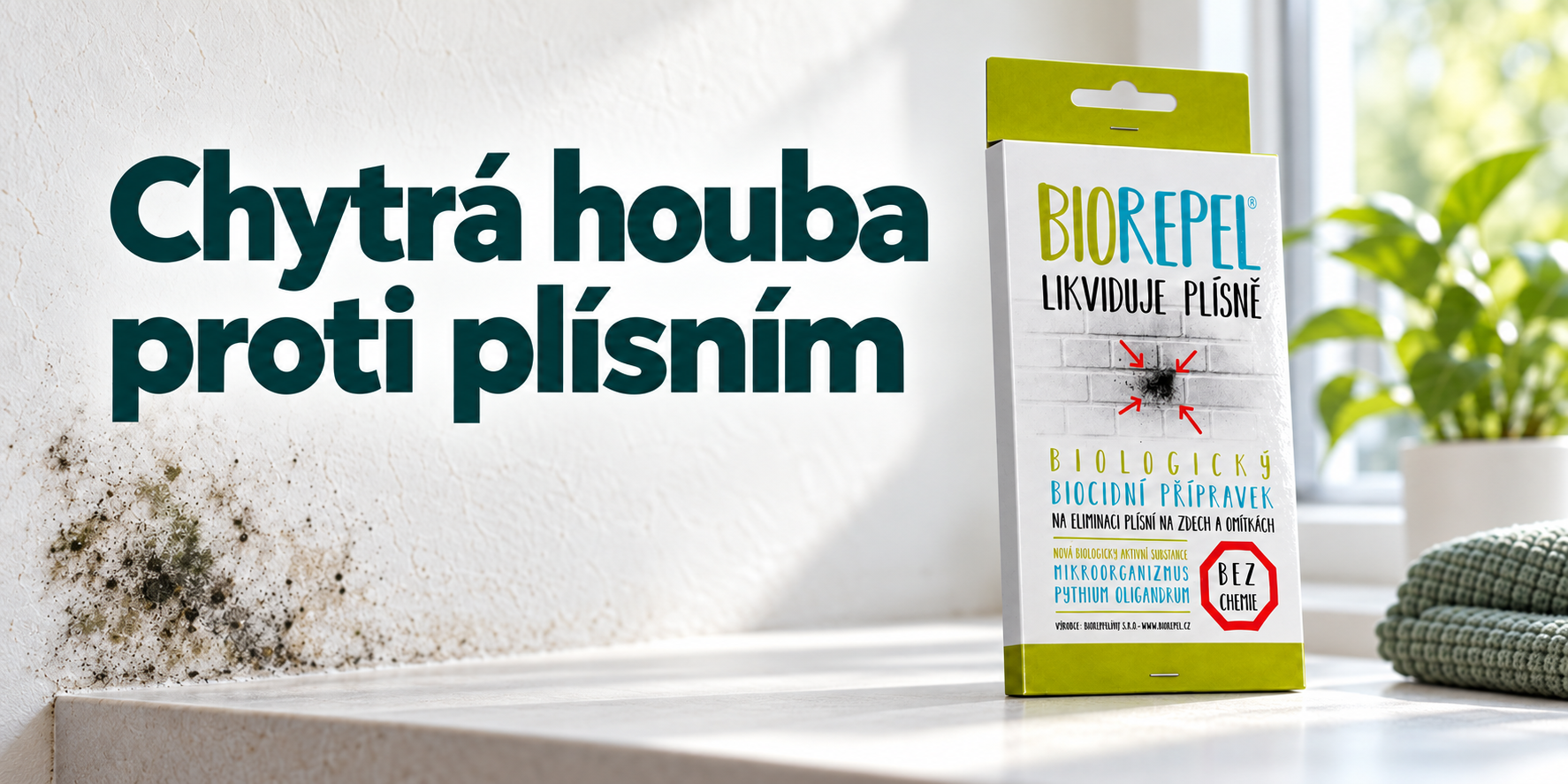 Biorepel: jak funguje chytrá houba proti plísním a jak ji použít