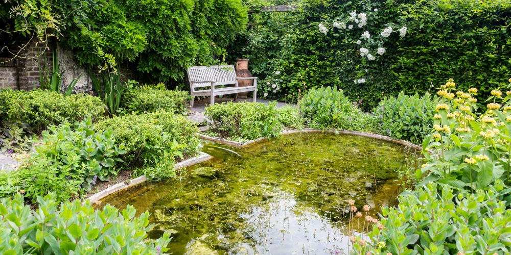 Jak odstranit řasy z jezírka (a proč se stále vrací)