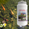 Bioclean Biolake 1 kg
