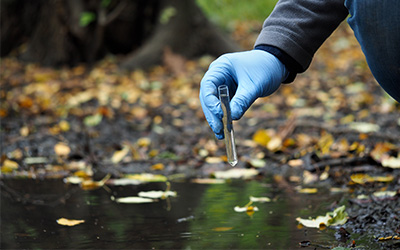 Rozklad organických odpadů - obecný úvod