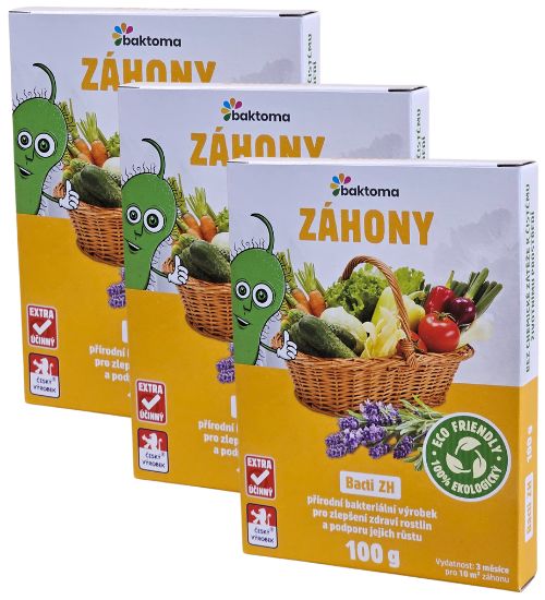 Levně Bacti ZH - stimulátor zdraví rostlin pro záhony - 100 g BACTI ZH - AKCE: 3 x 100 g