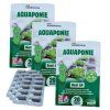 Bacti AP TABLETY - Aquaponie