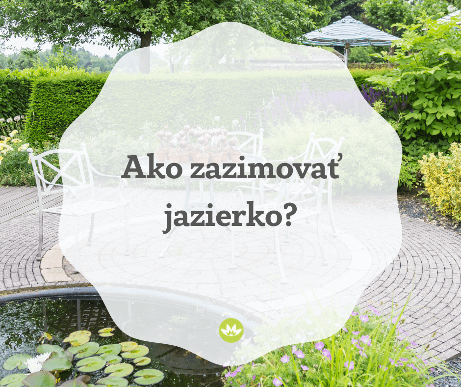 Ako zazimovať vaše jazierko