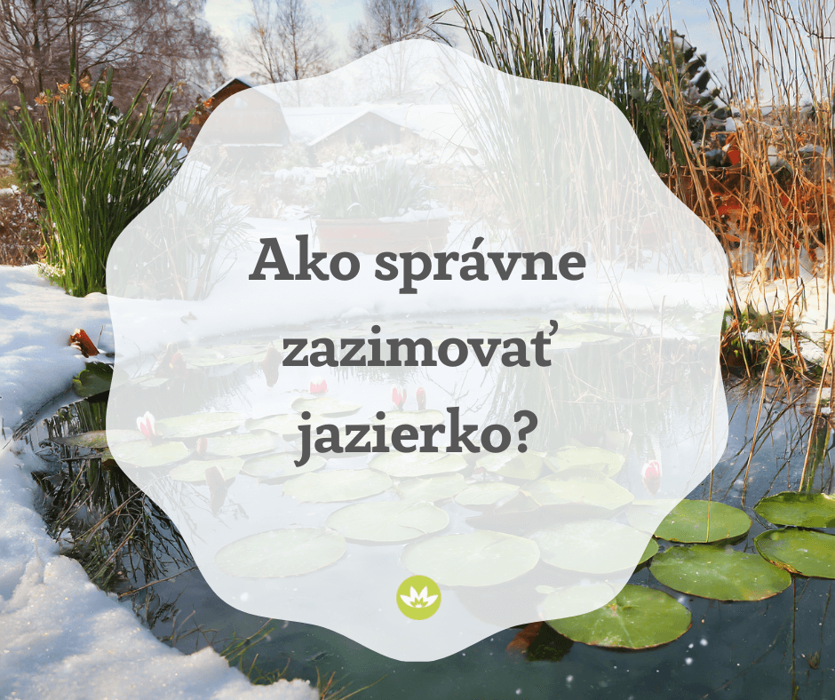 Ako zazimovať jazierko