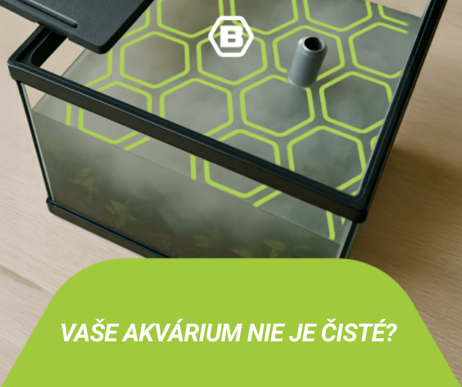 Kalná voda v akváriu: Príčiny, riešenia a ako ju vyčistiť