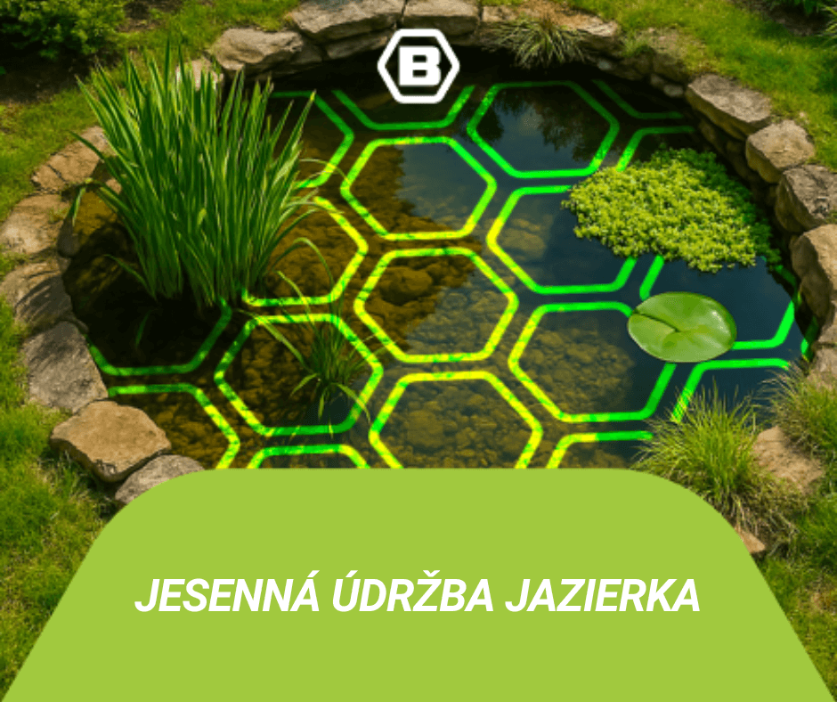 Jesenná údržba jazierka.Zabezpečte si čistú vodu na jeseň a zimu