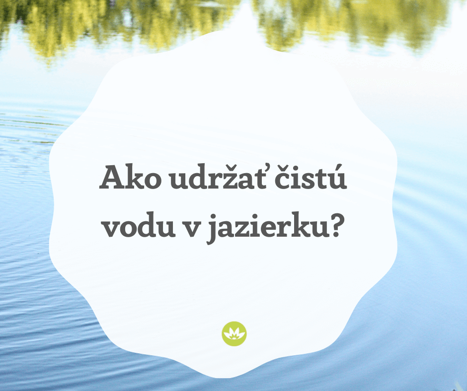 Ako udržiavať čistú vodu v jazierku