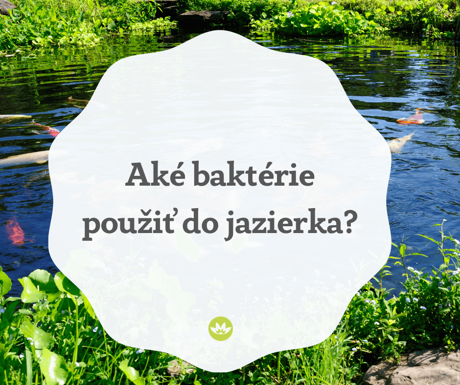 Aké baktérie použiť do jazierka ?