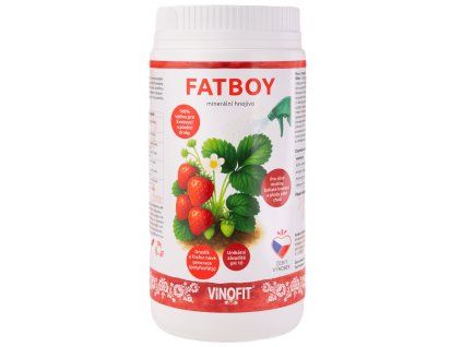 FAT BOY 1 kg (1)