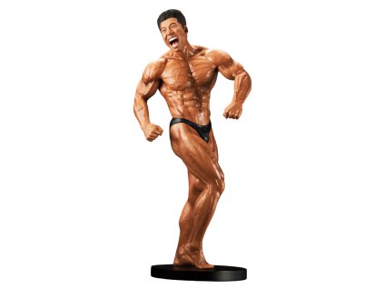 Bakuhatsu eu nakayama kinni kun figure muscle stars piece risou s appearance 1