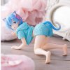 Bakuhatsu eu re zero starting life in another world figure rem desktop cute cat roomwear ver 14