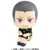 Bakuhatsu eu haikyuu figure ryunosuke tanaka look up 5