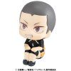 Bakuhatsu eu haikyuu figure ryunosuke tanaka look up 3