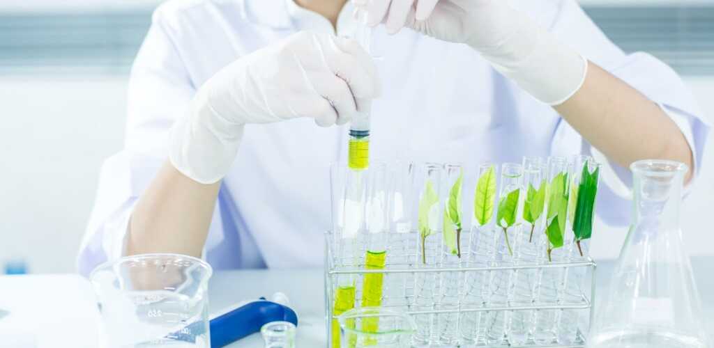 Kyselina hyaluronová – hydratace pro mladou pokožku