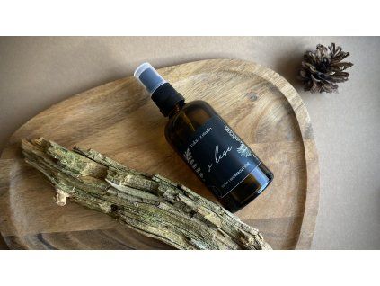 Interiérová vůně ~ V LESE