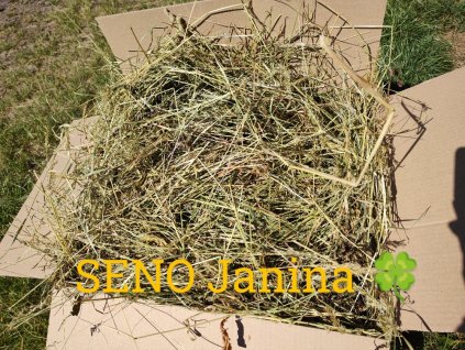 Seno z první seče 2025 - ruční sklizeň 🍀 SENO Janina 🍀