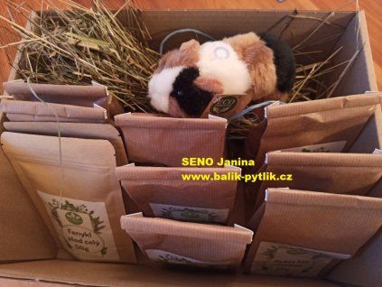 DÁRKOVÁ VARIANTA S MORČÁTKEM 🐹