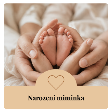 Příležitost Narození miminka