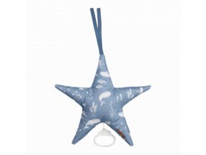 0003069 little dutch muziekdoos ster ocean blue 0.jpg 416x416