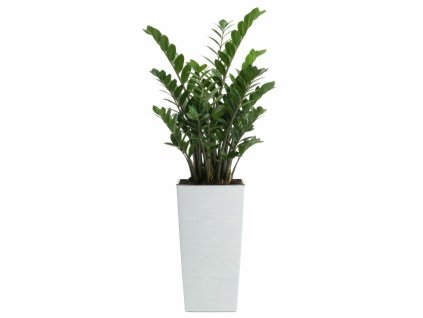 Kvetináč Porto biely 46x25x25 cm - balsyn.sk