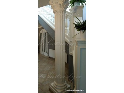 1016 Zak zkov 5a69bd046ba55