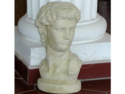 41 David bysta 4c00b7a49a197