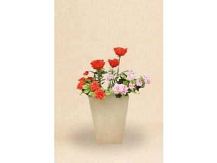 Návrh bez názvu 2026 02 19T125553.688