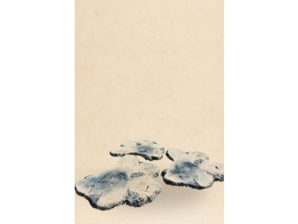 Šlapák do trávy maxi