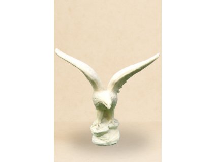 Jestřáb letící