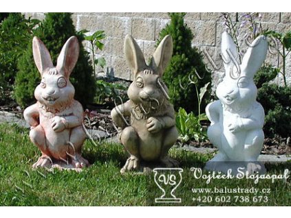 514 Zaj c 4bcea5317c1fd