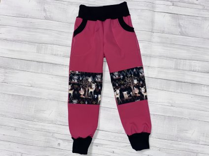 CAF4D30A 205B 4E81 86F9 44EBBBAAA07A