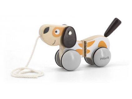 Edukační dřevěná hračka tahací pejsek