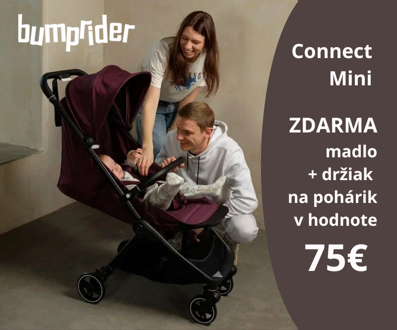 Bumprider Connect Mini