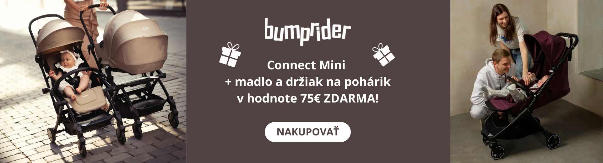Bumprider Connect Mini