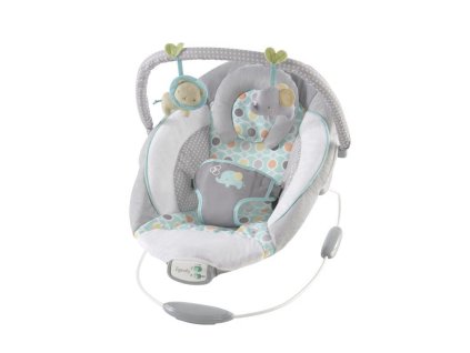 INGENUITY Lehátko vibrujúce s melódiou Morrison (0 m+) do 9 kg, 2019