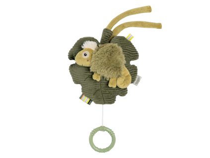 Baby Fehn Hracej chameleon, Crazy