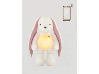 07ccf6f543090a51bf1e30b6ff91fb1c