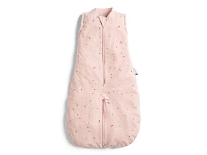 ZEPJS 0.2T08 24MDA23