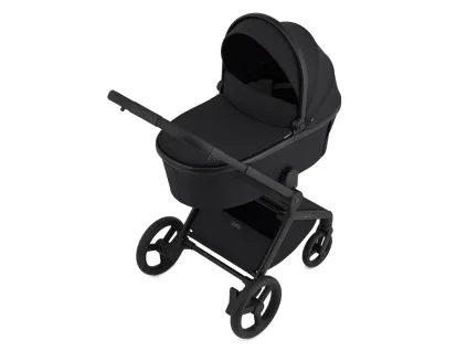 anex flo lungo