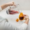 Zopa Silikónové plniteľné vrecko na detskú stravu, Transparent Grey