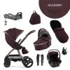 BabyStyle Egg3 set 8 v 1 - Mulberry 2025