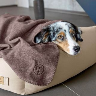 Palopa 🐾 značka, ktorá kombinuje lásku k zvieratám s nadšením pre vysokú kvalitu, udržateľnosť a chytré funkcie tým...