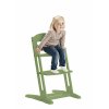 Dětská dřevěná židlička Baby Dan Rostoucí DanChair (Barva Green)