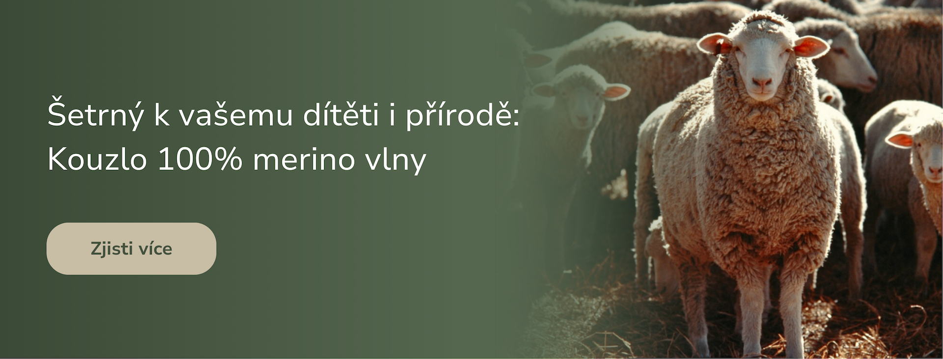 Merino vlna