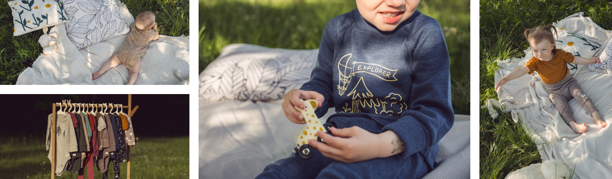 Bambino merino