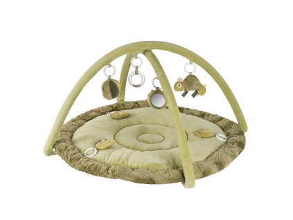 Baby Fehn 3D aktivity deka chameleon, Crazy