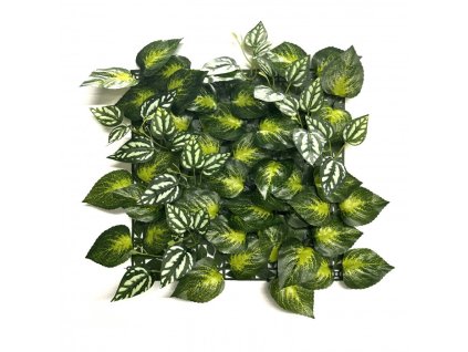 panel zieleni aureus c62a7e98117e482fac0cbc5e9e7f8ea1 d1cdfc27