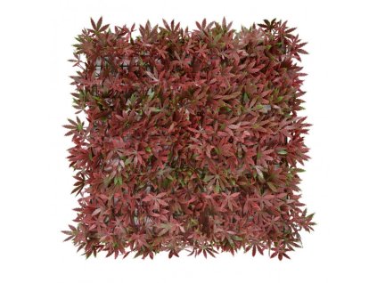 panel kolorowych roslin klon czerwony ec77a5329b7f436182e945ab833532cc 73fe3644