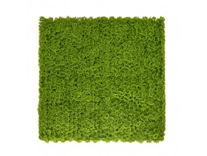 panel zieleni mech 3b44cb56745741b0839db908036d2bd8 72d885de