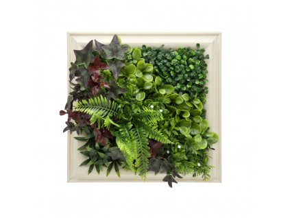 panel kolorowych roslin symfonia 61f3f65db82d4c09a6fa4a76499afadd cf8bb5de